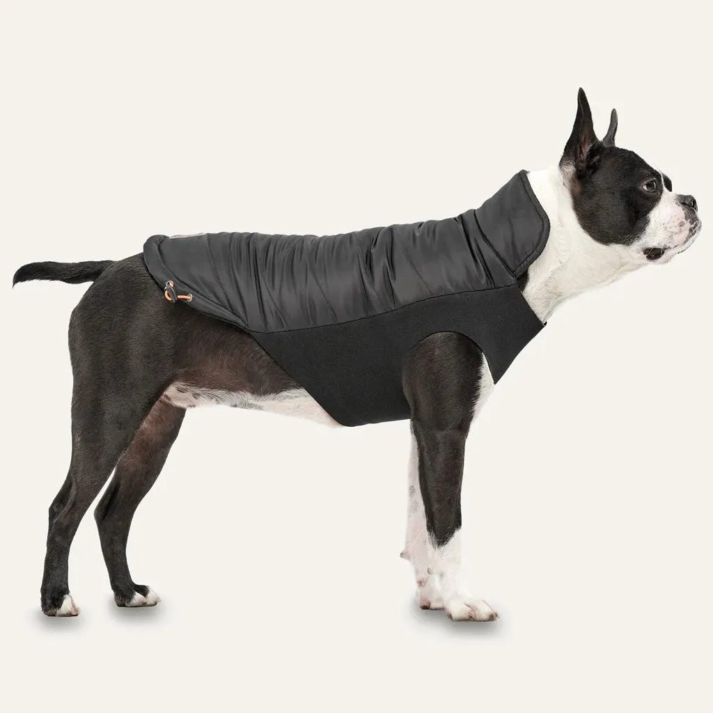 Goo-eez Mock Neck Signature Wrap Jacket Black for Dogs